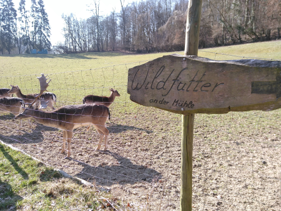 Fünfmühlental bei Bad Rappenau am 13.03.2022